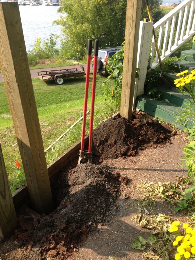 My Final Project in the DNR